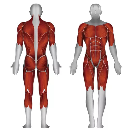 Cruce de gimnasio en la jungla Steelflex