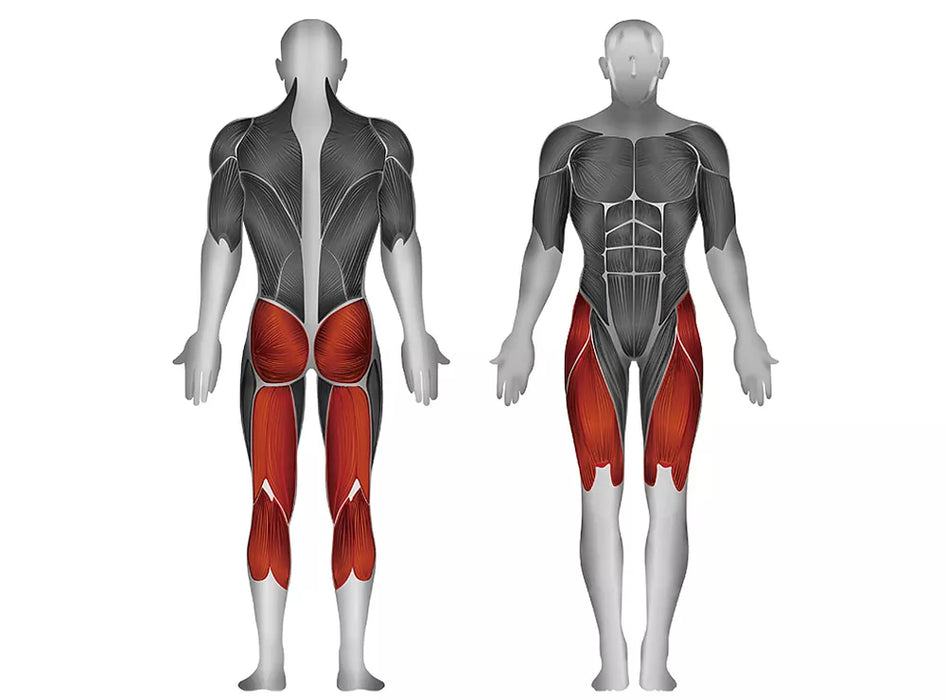Steelflex Plate Load Hack Squat