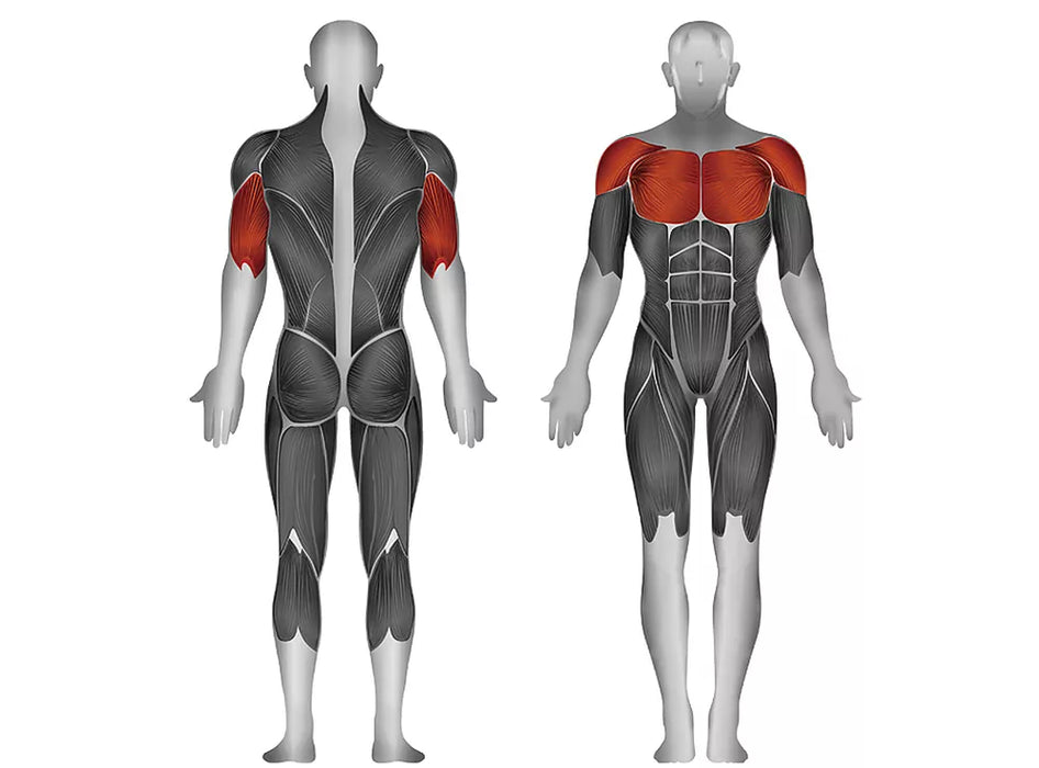 Steelflex Plate Load Seated Decline Press